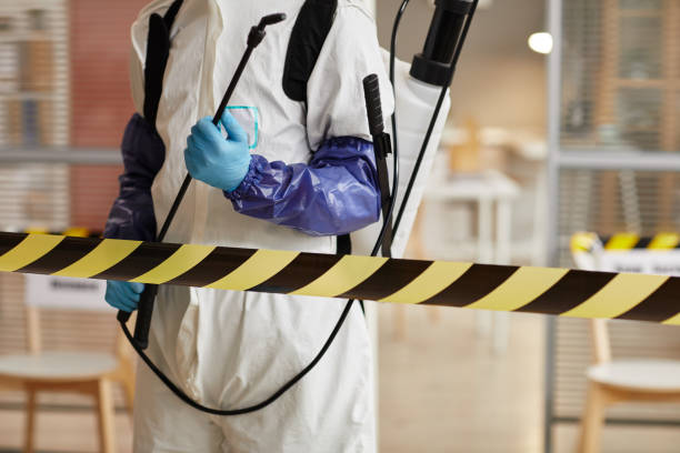 Professional Hoarding Cleanup technician working in Forestville, WI